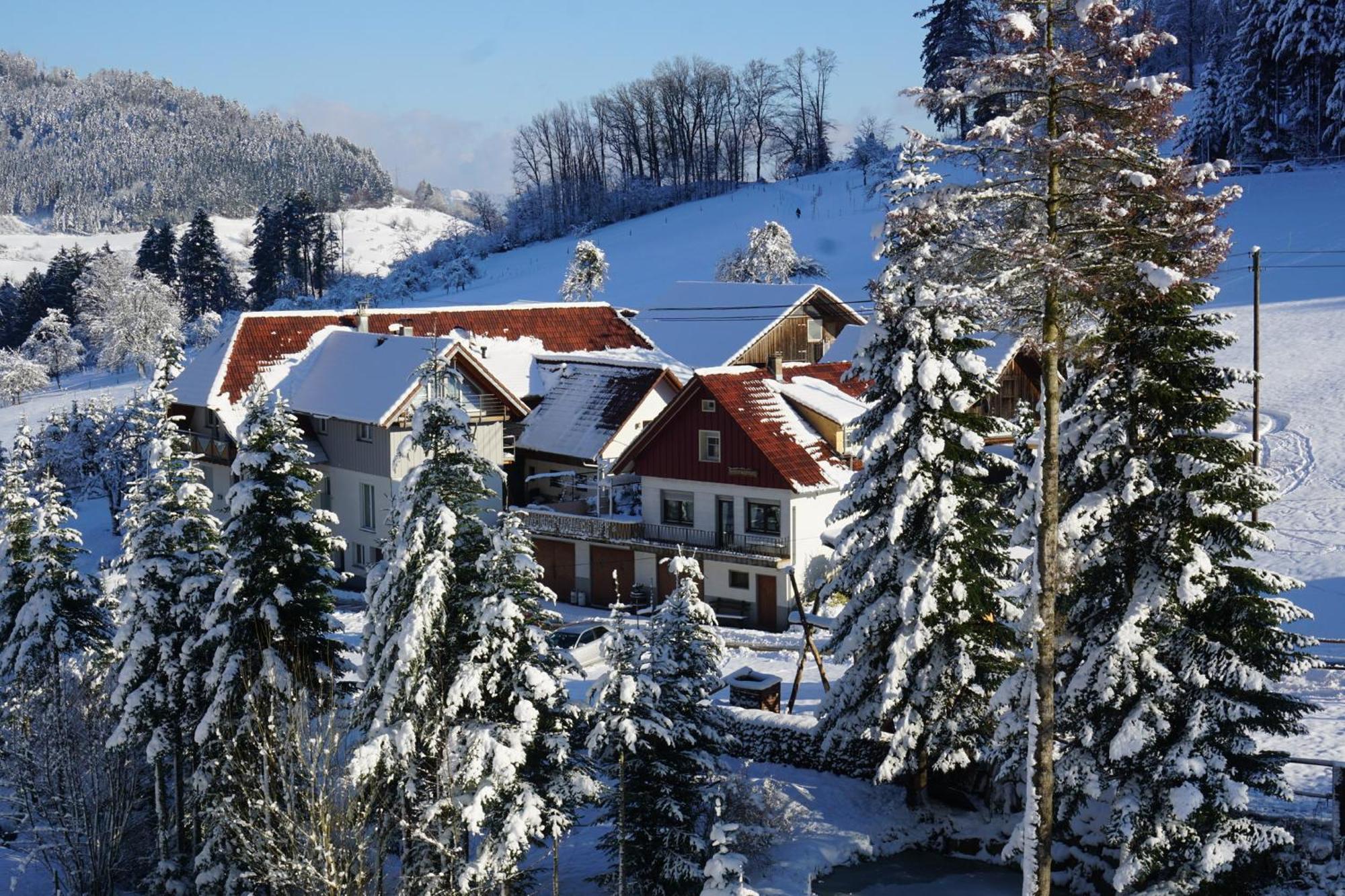 Muellerleile Hof Villa Haslach im Kinzigtal Eksteriør billede